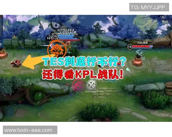 王者荣耀焦点：TES的耐力探讨