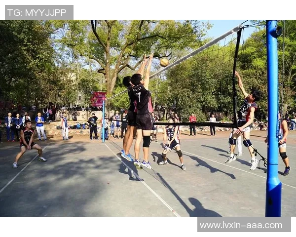 排球专题：聚焦武汉排球队的比赛经验