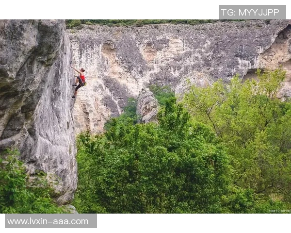 2026攀岩实力排名：重庆攀岩队创新高